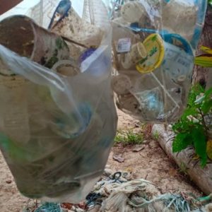 BeachCleanUp-13