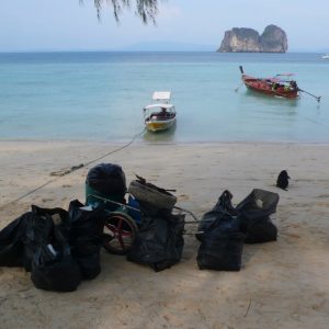 BeachCleanUp-21