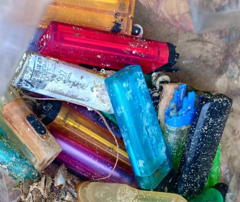 BeachCleanUp-31